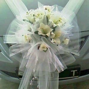 Meet your Posher, Rocio